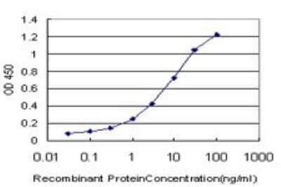 ELISA: CREB5 Antibody (8A5) [H00009586-M02] - Detection limit for recombinant GST tagged CREB5 is approximately 0.1ng/ml as a capture antibody.