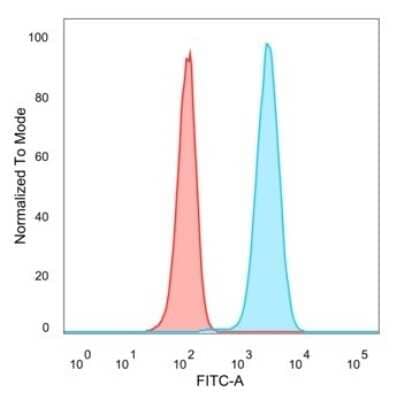 Flow Cytometry: CREB5 Antibody (PCRP-CREB5-1G8) [NBP3-13818] - Flow cytometric analysis of PFA-fixed HeLa cells. CREB5 antibody (PCRP-CREB5-1G8) followed by goat anti-mouse IgG-CF488 (blue); unstained cells (red).