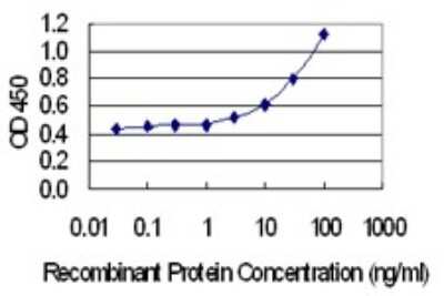 Sandwich ELISA: CREBL2 Antibody (1C1) [H00001389-M04] - Detection limit for recombinant GST tagged CREBL2 is 1 ng/ml as a capture antibody.