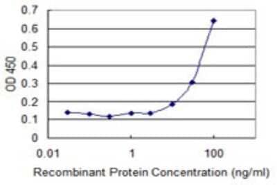 Sandwich ELISA: CRHBP Antibody (3D9) [H00001393-M01] - Detection limit for recombinant GST tagged CRHBP is 3 ng/ml as a capture antibody.