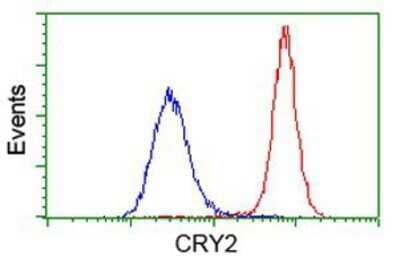 Flow Cytometry: CRY2 Antibody (OTI1H5) - Azide and BSA Free [NBP2-70449] - Analysis of Hela cells, using anti-CRY2 antibody, (Red), compared to a nonspecific negative control antibody (Blue).