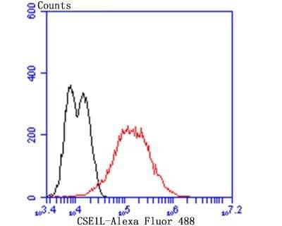 Flow Cytometry: CSE1L/CAS/Exportin-2 Antibody (JU34-33) [NBP2-75451] - Analysis of LOVO cells with Cellular Apoptosis Susceptibility antibody at 1/100 dilution (red) compared with an unlabelled control (cells without incubation with primary antibody; black). Alexa Fluor 488-conjugated goat anti-rabbit IgG was used as the secondary antibody.
