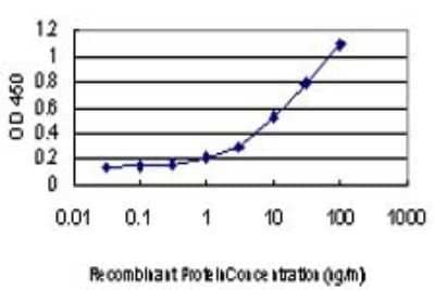 ELISA: CSK Antibody (3A3) [H00001445-M01] - Detection limit for recombinant GST tagged CSK is approximately 0.1ng/ml as a capture antibody.