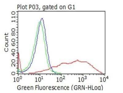 Flow Cytometry: CTAG1B Antibody (OTI2B6) - Azide and BSA Free [NBP2-70485] - Analysis of living 293T cells transfected with CTAG1B overexpression plasmid (RC213318), Red)/empty vector (Blue) using anti-CTAG1B antibody. Cells incubated with a non-specific antibody (Green) were used as isotype control. (1:100)