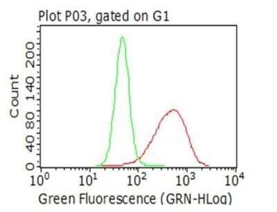 Flow Cytometry: CTAG1B Antibody (OTI2B6) - Azide and BSA Free [NBP2-70485] - Analysis of living NCI-H1299 cells, using anti-CTAG1B antibody(red), compared to an isotype control (green).(1:100)