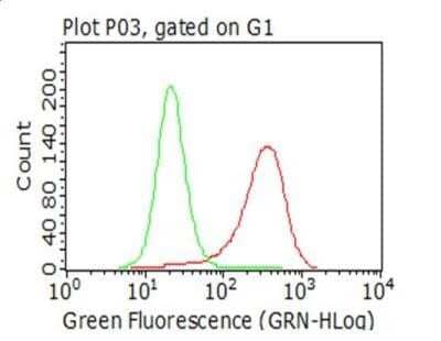 Flow Cytometry: CTAG1B Antibody (OTI2B6) - Azide and BSA Free [NBP2-70485] - Analysis of living A375 cells, using anti-CTAG1B antibody(red), compared to an isotype control (green).(1:100)