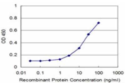 Sandwich ELISA: CTDSP2 Antibody (3F11) [H00010106-M02] - Detection limit for recombinant GST tagged CTDSP2 is approximately 3ng/ml as a capture antibody.