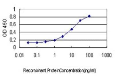 Sandwich ELISA: CTDSP2 Antibody (4F4) [H00010106-M01] - Detection limit for recombinant GST tagged CTDSP2 is approximately 0.3ng/ml as a capture antibody.