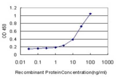 Sandwich ELISA: CTL1/SLC44A1 Antibody (1C4) [H00023446-M02] - Detection limit for recombinant GST tagged SLC44A1 is approximately 3ng/ml as a capture antibody.