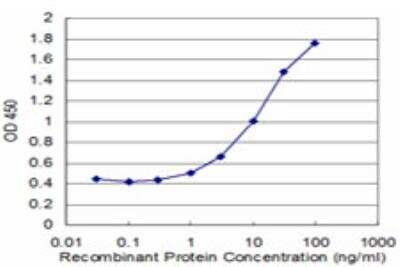 ELISA: CTNNAL1 Antibody (2C11) [H00008727-M05] - Detection limit for recombinant GST tagged CTNNAL1 is approximately 1ng/ml as a capture antibody.