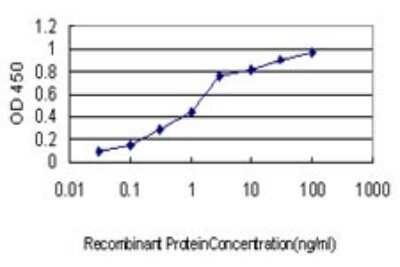 Sandwich ELISA: CXCL1/GRO alpha/KC/CINC-1 Antibody (7A11) [H00002919-M01] - Detection limit for recombinant GST tagged CXCL1 is approximately 0.03ng/ml as a capture antibody.