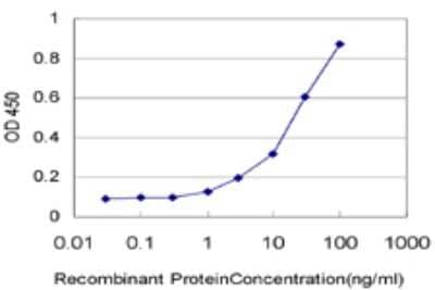 Sandwich ELISA: CXCL12/SDF-1 Antibody (1E5) [H00006387-M01] - Detection limit for recombinant GST tagged CXCL12 is approximately 1ng/ml as a capture antibody.