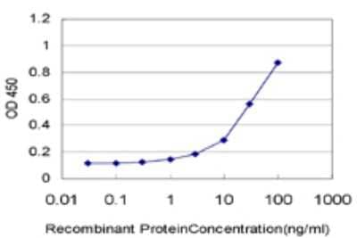 Sandwich ELISA: CXCL12/SDF-1 Antibody (1F10) [H00006387-M03] - Detection limit for recombinant GST tagged CXCL12 is approximately 1ng/ml as a capture antibody.