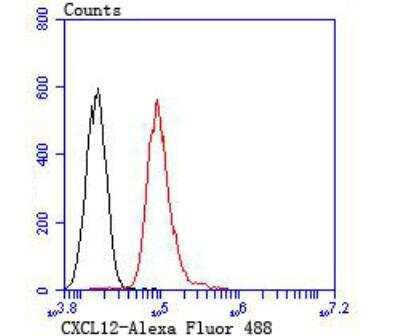 Flow Cytometry: CXCL12/SDF-1 Antibody [NBP2-89133] - Analysis of HepG2 cells with SDF1 antibody at 1/100 dilution (red) compared with an unlabelled control (cells without incubation with primary antibody; black). Alexa Fluor 488-conjugated goat anti rabbit IgG was used as the secondary antibody.