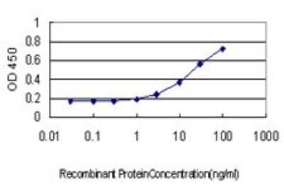 Sandwich ELISA: CXCL5 Antibody (M1) [H00006374-M03] - Detection limit for recombinant GST tagged CXCL5 is approximately 1ng/ml as a capture antibody.