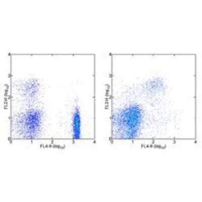 Flow Cytometry: CXCR2/IL-8 RB Antibody (5E8-C7-F10) [PE] [NBP2-00220] - Staining of normal human peripheral blood cells with Anti-Human CD4 APC (left) or Anti-Human CD56 (NCAM) APC (right) and Anti-Human CD182 (CXCR2) PE. Cells in the lymphocyte gate were used for analysis.