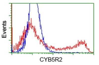 Flow Cytometry: CYB5R2 Antibody (OTI4B9) - Azide and BSA Free [NBP2-71942] - HEK293T cells transfected with either CYB5R2 Human Tagged ORF Clone overexpress plasmid (Red) or empty vector control plasmid (Blue) were immunostaining by anti-CYB5R2 antibody , and then analyzed by flow cytometry.
