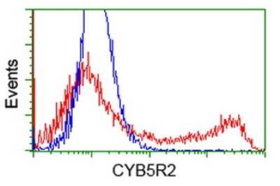 Flow Cytometry: CYB5R2 Antibody (OTI4B9) [NBP2-01015] - HEK293T cells transfected with either CYB5R2 Human Tagged ORF Clone overexpress plasmid (Red) or empty vector control plasmid (Blue) were immunostained by anti-CYB5R2 antibody , and then analyzed by flow cytometry.