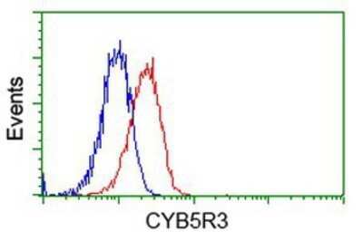 Flow Cytometry: CYB5R3 Antibody (OTI2A10) - Azide and BSA Free [NBP2-70572] - Analysis of Jurkat cells, using anti-CYB5R3 antibody, (Red), compared to a nonspecific negative control antibody (Blue).