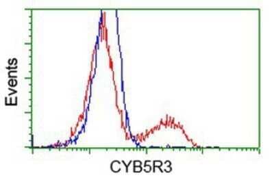 Flow Cytometry: CYB5R3 Antibody (OTI2A10) - Azide and BSA Free [NBP2-70572] - HEK293T cells transfected with either overexpression plasmid (Red) or empty vector control plasmid (Blue) were immunostaining by anti-CYB5R3 antibody, and then analyzed by flow cytometry.