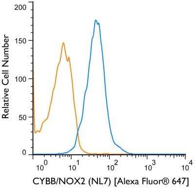 Flow Cytometry: CYBB/NOX2 Antibody (NL7) [Alexa Fluor 647] [NBP1-41012AF647] - An intracellular stain was performed on Daudi cells with CYBB/NOX2 (NL7) antibody NBP1-41012AF647 (blue) and a matched isotype control NBP1-97005AF647 (orange). Cells were fixed with 4% PFA and then permeablized with 0.1% saponin. Cells were incubated in an antibody dilution of 2 ug/mL for 30 minutes at room temperature. Both antibodies were conjugated to Alexa Fluor 647.