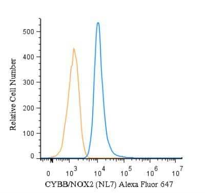 Flow (Intracellular): CYBB/NOX2 Antibody (NL7) [Alexa Fluor 647] [NBP1-41012AF647] -  An intracellular stain was performed on THP-1 cells with CYBB/NOX2 (NL7) antibody NBP1-41012AF647 (blue) and a matched isotype control(orange). Cells were fixed with 4% PFA and then permeablized with 0.1% saponin. Cells were incubated in an antibody dilution of 2.5 ug/mL for 30 minutes at room temperature. Both antibodies were conjugated to Alexa Fluor 647.