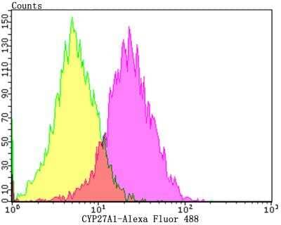 Flow Cytometry: CYP27A1 Antibody (JG40-36) [NBP2-76827] - Flow cytometric analysis of HepG2 cells with CYP27A1 antibody at 1/100 dilution (purple) compared with an unlabelled control (cells without incubation with primary antibody; yellow). Alexa Fluor 488-conjugated goat anti-rabbit IgG was used as the secondary antibody.