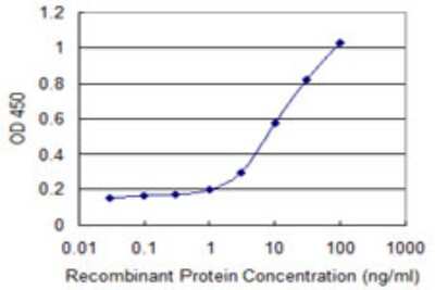 Sandwich ELISA: CYRPTIC/CFC1 Antibody (2G4) [H00055997-M09] - Detection limit for recombinant GST tagged CFC1 is 0.3 ng/ml as a capture antibody.