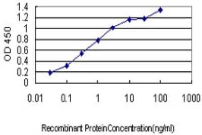 Sandwich ELISA: CYorf15A Antibody (2F5) [H00084663-M01] - Detection limit for recombinant GST tagged CYorf15B is approximately 0.03ng/ml as a capture antibody.