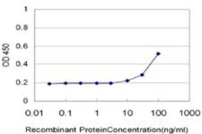 ELISA: CaM Kinase II delta Antibody (1B11) [H00000817-M03] - Detection limit for recombinant GST tagged CAMK2D is approximately 10ng/ml as a capture antibody.