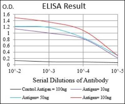 ELISA: CaM Kinase II gamma Antibody (6A4A10) [NBP2-37269] - Red: Control Antigen (100ng); Purple: Antigen (10ng); Green: Antigen (50ng); Blue: Antigen (100ng);