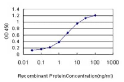 Sandwich ELISA: CaMKV Antibody (2F3-1A2) [H00079012-M01] - Detection limit for recombinant GST tagged CAMKV is approximately 0.03ng/ml as a capture antibody.