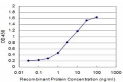 Sandwich ELISA: Cadherin-11 Antibody (4D10) [H00001009-M01] - Detection limit for recombinant GST tagged CDH11 is approximately 0.3ng/ml as a capture antibody.