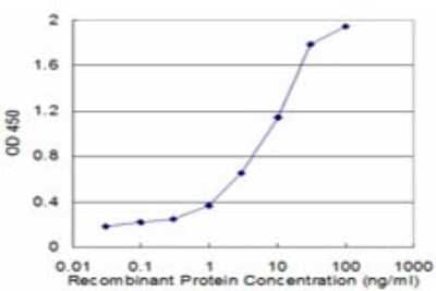 Sandwich ELISA: Calcitonin R Antibody (2F7) [H00000799-M01] - Detection limit for recombinant GST tagged CALCR is approximately 0.03ng/ml as a capture antibody.