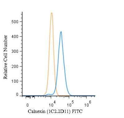 Flow (Intracellular): Calnexin Antibody (1C2.2D11) [FITC] [NBP2-36570F] - An intracellular stain was performed on HeLa cells with Calnexin Antibody (1C2.2D11) NBP2-36570F (blue) and a matched isotype control (orange). Cells were fixed with 4% PFA and then permeabilized with 0.1% saponin. Cells were incubated in an antibody dilution of 10 ug/mL for 30 minutes at room temperature. Both antibodies were conjugated to FITC.