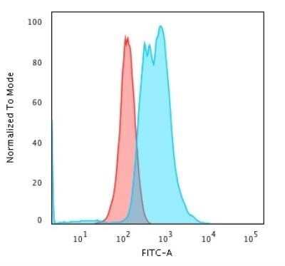 Flow Cytometry: Calponin 1 Antibody (CNN1/832 + CALP) - Azide and BSA Free [NBP2-47758] - Analysis of PFA-fixed K562 cells using Calponin 1 Antibody (CNN1/832 + CALP) followed by Goat anti-Mouse IgG-CF488 (Blue); Isotype Control (Red).