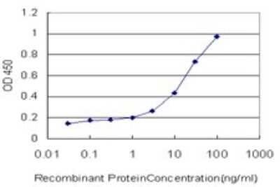 Sandwich ELISA: Calreticulin-2/CALR3 Antibody (4E3) [H00125972-M01] - Detection limit for recombinant GST tagged CALR3 is approximately 1ng/ml as a capture antibody.