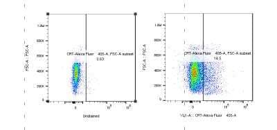 Flow Cytometry: Calreticulin Antibody (1G6A7) [Alexa Fluor® 405] [NBP1-47518AF405] - HCT-116 human colorectal carcinoma cell line. HCT116 cells were treated with 100 uM of Oxaliplatin for 24 hrs and surface expression of Calreticulin was measured. Left panel: unstained. Right panel: stained with anti-CRT-AF405. Flow cytometry image submitted by a verified customer review.