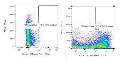 Flow Cytometry: Calreticulin Antibody (1G6A7) [Alexa Fluor® 700] [NBP1-47518AF700] - B16-F1 mouse melanoma cell line. B16F10 cells were treated with Doxorubicin for 48 hrs and surface expression of Calreticulin was measured. Flow Cytometry image submitted by a verified customer review.