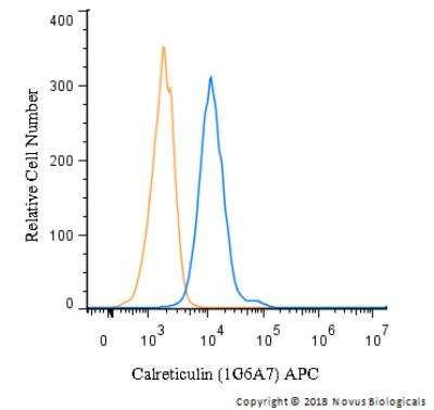 Flow Cytometry: Calreticulin Antibody (1G6A7) [Allophycocyanin] [NBP1-47518APC] - An intracellular stain was performed on U-937 cells with Calreticulin Antibody (1G6A7) NBP1-47518APC (blue) and a matched isotype control (orange). Cells were fixed with 4% PFA and then permeabilized with 0.1% saponin. Cells were incubated in an antibody dilution of 10 ug/mL for 30 minutes at room temperature. Both antibodies were conjugated to Allophycocyanin.