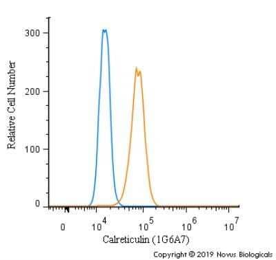 Flow Cytometry: Calreticulin Antibody (1G6A7) - Azide and BSA Free [NBP2-80610] - An intracellular stain was performed on A431 cells with Calreticulin (1G6A7) Antibody NBP1-47518 (blue) and a matched isotype control (orange). Cells were fixed with 4% PFA and then permeabilized with 0.1% saponin. Cells were incubated in an antibody dilution of 1.0 ug/mL for 30 minutes at room temperature, followed by Mouse IgG (H+L) Cross-Adsorbed Secondary Antibody, Dylight 488. Image from the standard format of this antibody.