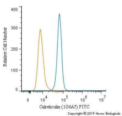 Flow Cytometry: Calreticulin Antibody (1G6A7) - Azide and BSA Free [NBP2-80610] - An intracellular stain was performed on NIH3T3 cells with Calreticulin (1G6A7) Antibody NBP1-47518F (blue) and a matched isotype control (orange). Cells were fixed with 4% PFA and then permeabilized with 0.1% saponin. Cells were incubated in an antibody dilution of 5 ug/mL for 30 minutes at room temperature. Both antibodies were directly conjugated to FITC.