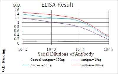 ELISA: Calretinin Antibody (1F5H1) [NBP2-52426] - Black line: Control Antigen (100 ng); Purple line: Antigen(10ng); Blue line: Antigen (50 ng); Red line: Antigen (100 ng).