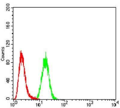 Flow Cytometry: Calretinin Antibody (1F5H1) [NBP2-52426] - Analysis of A549 cells using Calretinin mouse mAb (green) and negative control (red).