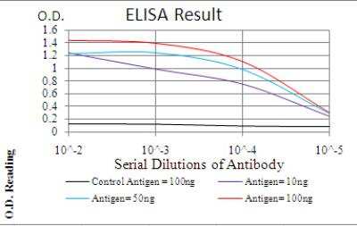 ELISA: Calretinin Antibody (5E9B6) [NBP2-52427] - Black line: Control Antigen (100 ng); Purple line: Antigen(10ng); Blue line: Antigen (50 ng); Red line: Antigen (100 ng).