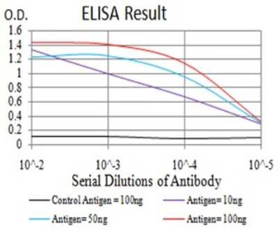 ELISA: Calretinin Antibody (7H1G3) [NBP2-61720] - Black line: Control Antigen (100 ng);Purple line: Antigen (10ng); Blue line: Antigen (50 ng); Red line:Antigen (100 ng)