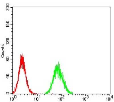 Flow Cytometry: Calretinin Antibody (7H1G3) [NBP2-61720] - Analysis of Hela cells using CALB2 mouse mAb (green) and negative control (red).