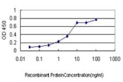 Sandwich ELISA: Calsenilin Antibody (2B3-A1) [H00030818-M01] - Detection limit for recombinant GST tagged CSEN is approximately 0.1ng/ml as a capture antibody.