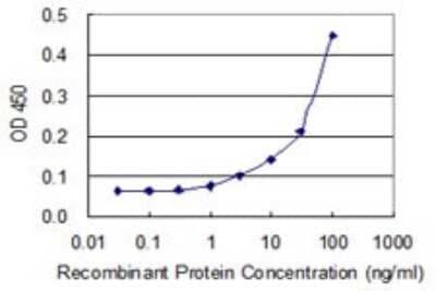 Sandwich ELISA: Calsequestrin 1 Antibody (1D7) [H00000844-M01] - Detection limit for recombinant GST tagged CASQ1 is 1 ng/ml as a capture antibody.