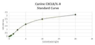 ELISA: Canine CXCL8/IL-8 ELISA Kit (Colorimetric) [NBP2-59967] - These standard curves are provided for demonstration only. A standard curve should be generated for each set of samples assayed.